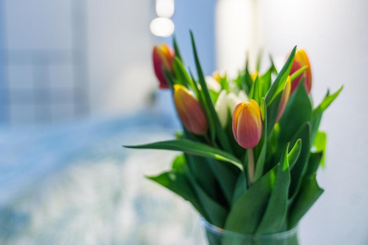 Apartmán Ruote Apt - Dolcevita Holiday Florencie Exteriér fotografie